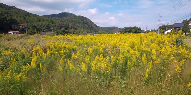 広報活動