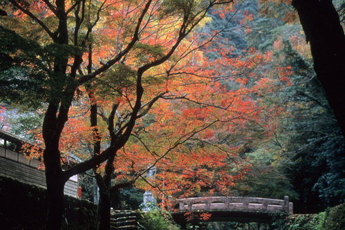 平田がくえん寺