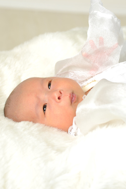 01_kimura_Img0019