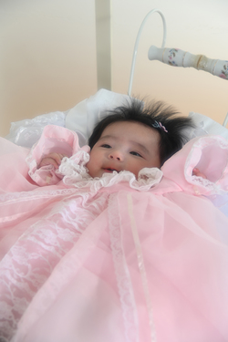 01_hatta_Img058
