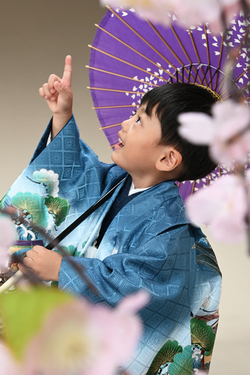01_fujimoto_048_am
