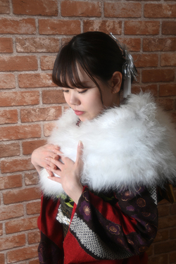 03_yano_080_na