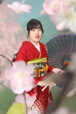 01_housyou_017_na