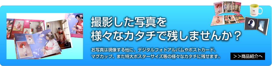 オプショナル商品